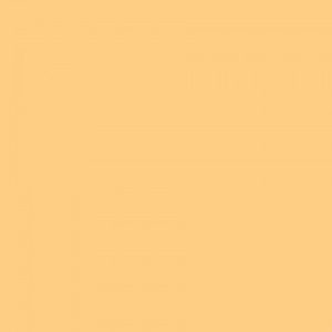 https://masonrysupplies.co.uk/wp-content/uploads/2025/01/chamois-300x300.jpg