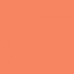 https://masonrysupplies.co.uk/wp-content/uploads/2025/01/coral-300x300.jpg