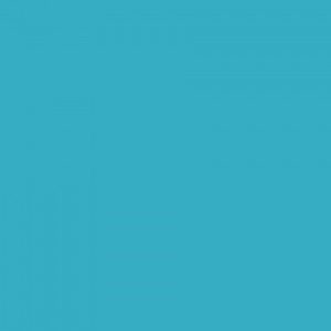 https://masonrysupplies.co.uk/wp-content/uploads/2025/01/peacock-blue-1-300x300.jpg