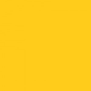 https://masonrysupplies.co.uk/wp-content/uploads/2025/01/primrose-yellow-300x300.jpg