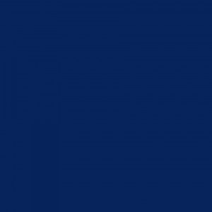 https://masonrysupplies.co.uk/wp-content/uploads/2025/01/reflex-blue-300x300.jpg