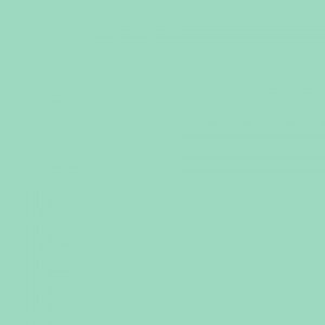 https://masonrysupplies.co.uk/wp-content/uploads/2025/01/robin-egg-blue-300x300.jpg