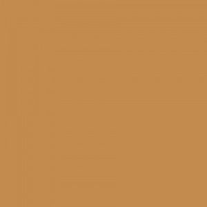 https://masonrysupplies.co.uk/wp-content/uploads/2025/01/tan-300x300.jpg