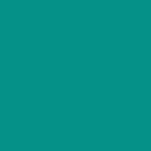 https://masonrysupplies.co.uk/wp-content/uploads/2025/01/teal-300x300.jpg