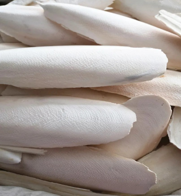 Cuttlefish Bone 1kg